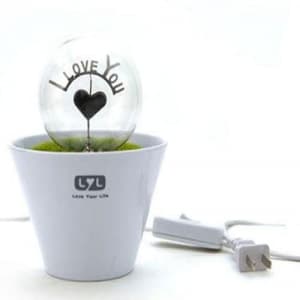 Romantic Flower Pot Lamp Night Light - I Love You 