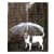 Umbrella Leash Combo for Dogs