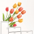 Tulips Wall Decal Sticker