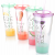 Tanana Summer Iced Drink Tumbler with lid and straw 640ml, 22oz