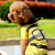 Dog Rain Jacket Bee Costume