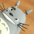 Totoro 3D Case for iPhone 5 5s