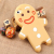 Gingerbread Man 3D Case for iPhone 5 5s